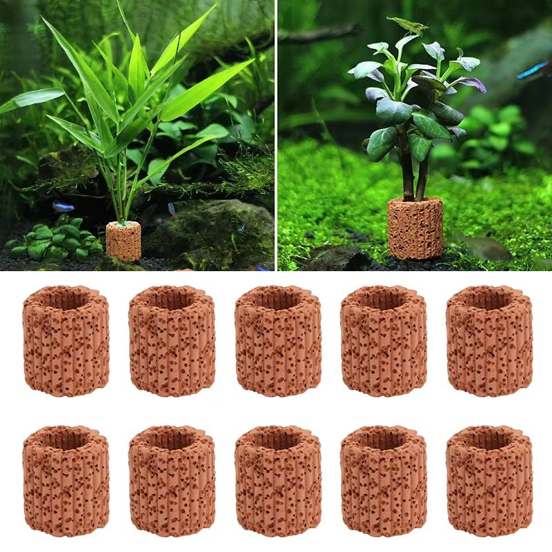Planted Aquarium Products - Aquatic Plant Fixed Ring for Aquarium