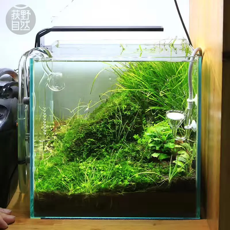 Planted Aquarium Products - Chihiros C Series ADA Style Plant
