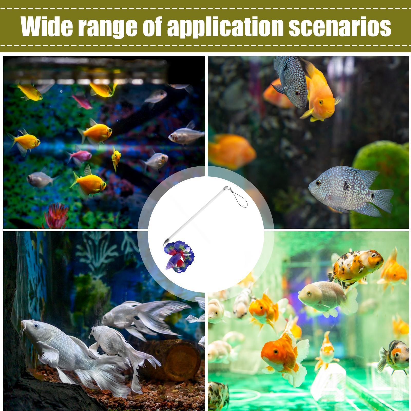 Planted Aquarium For Beginners - Fish Training Wand Realistic Aquatic Exercise