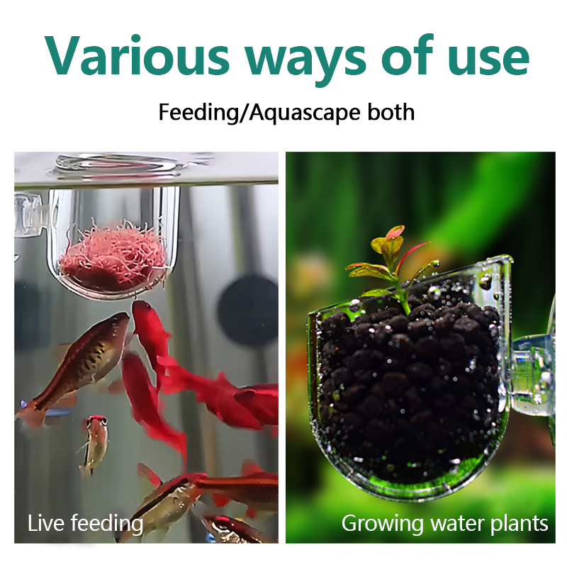 Aquarium Decoration Plant Cup  - Planted Aquarium Products recension och pris