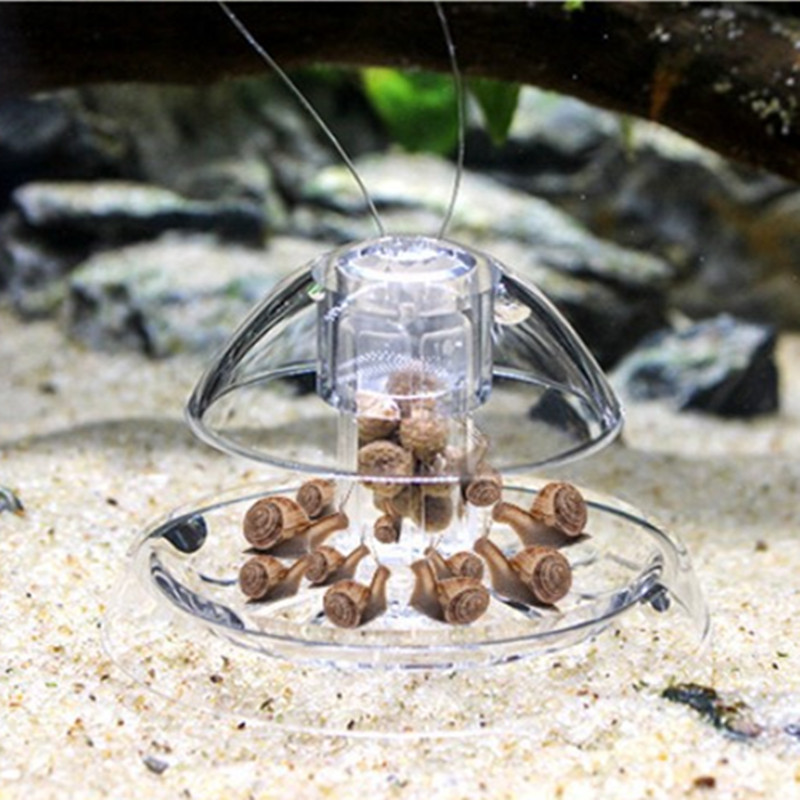 1PCS Fish Tank Aquarium Cleane - Planted Aquarium Products recension och pris