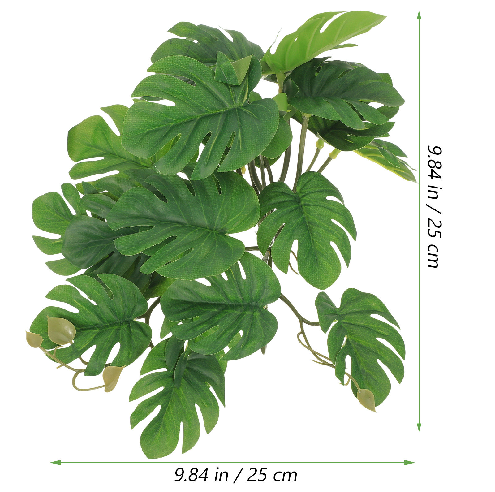 Safe Non Toxic Reptile Plants  - Non Planted Aquarium Fish recension och pris