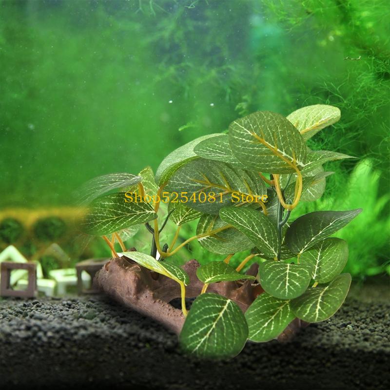 AXYC Artificial Resin Driftwoo - Non Planted Aquarium Fish recension och pris