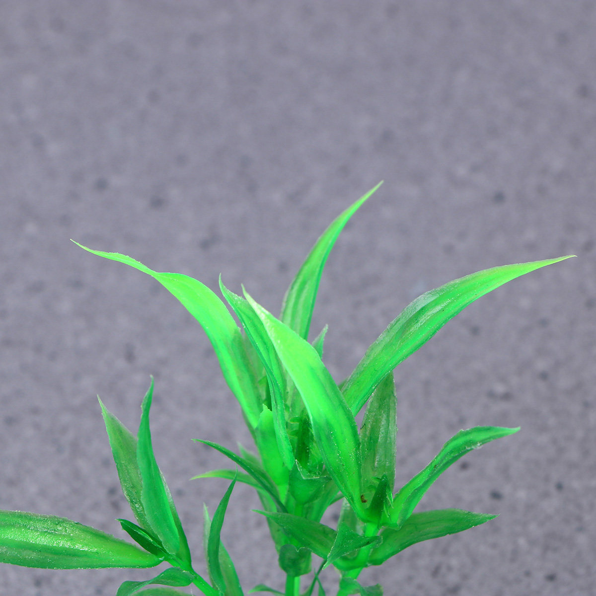 10Pcs Realistic Aquarium Plant - Non Planted Aquarium Fish recension och pris