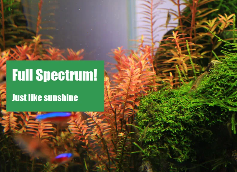 Chihiros C Series ADA Style Pl - Planted Aquarium Products recension och pris