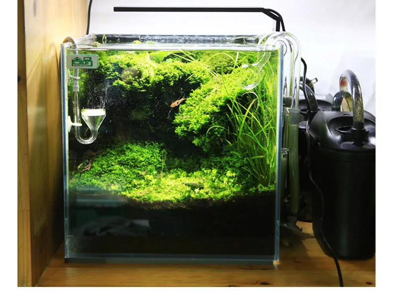 Chihiros C Series ADA Style Pl - Planted Aquarium Products recension och pris