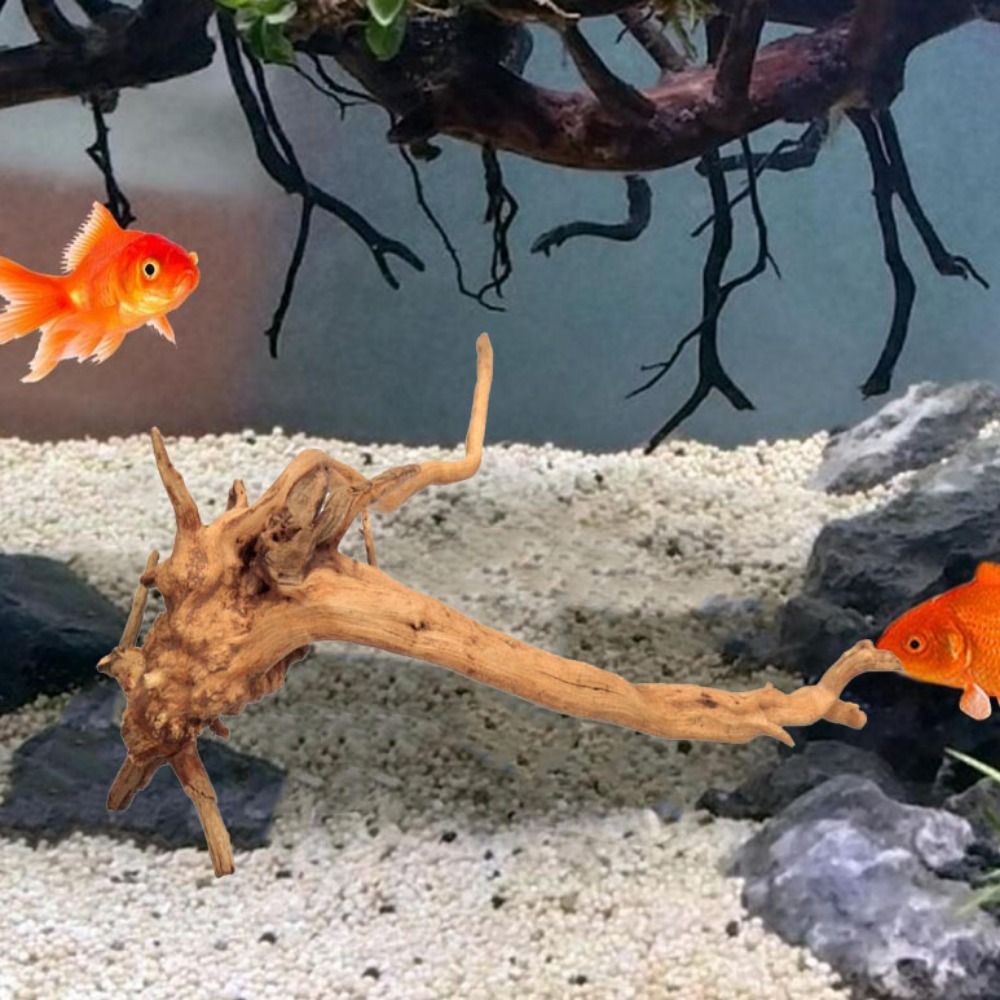 Natural Tree Trunk Aquarium De - Aquarium Plant Root Tabs recension och pris