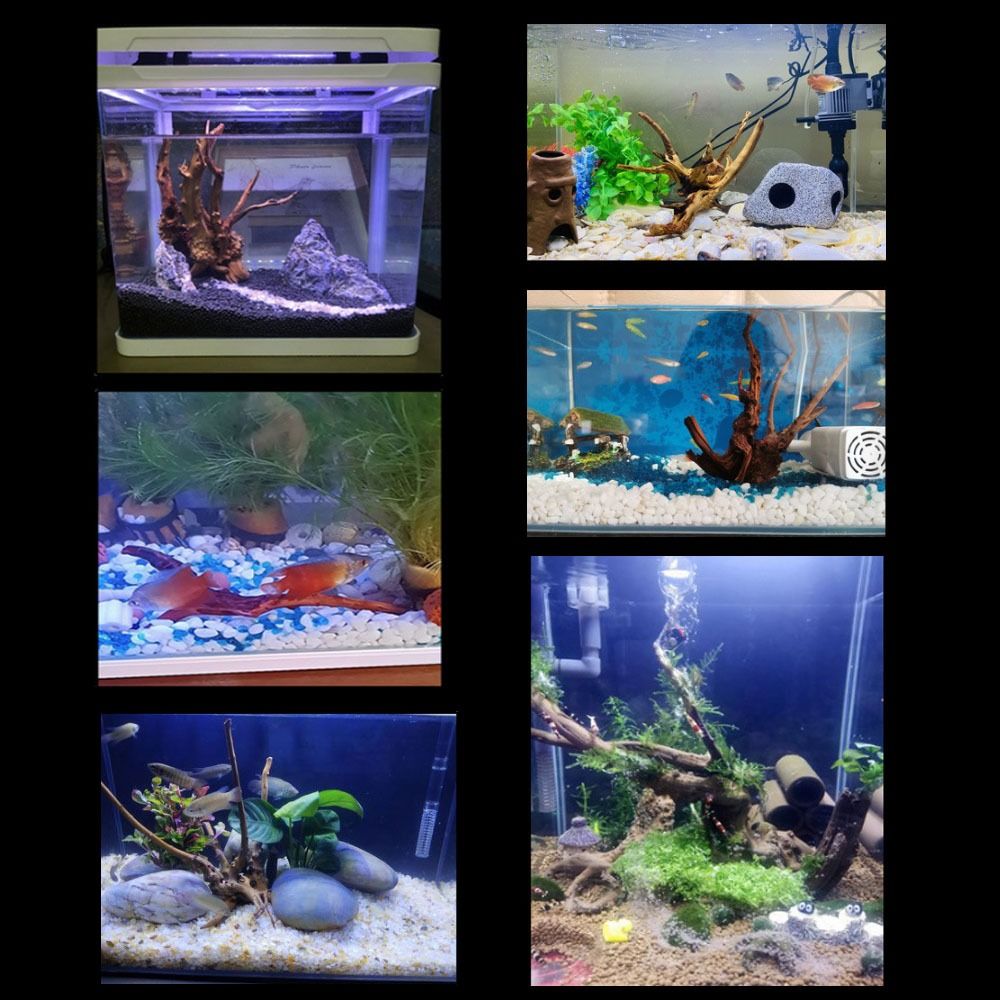 Natural Tree Trunk Aquarium De - Aquarium Plant Root Tabs recension och pris