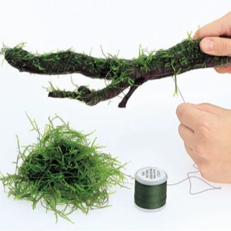 Biodegradable Aquarium Moss Th - Planted Aquarium With Rocks recension och pris