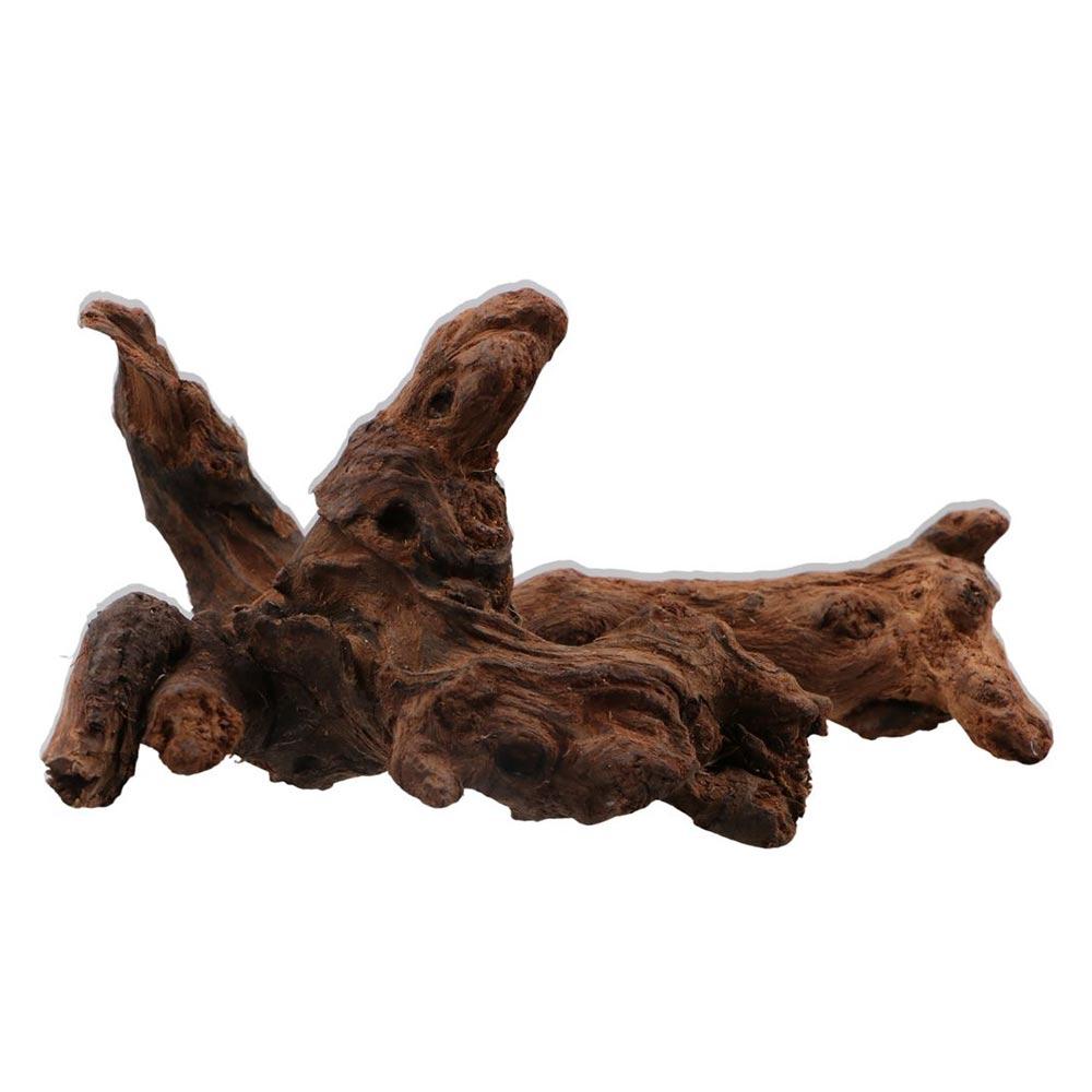 Creative Irregular Shape Coral - Aquarium Plant Root Tabs recension och pris