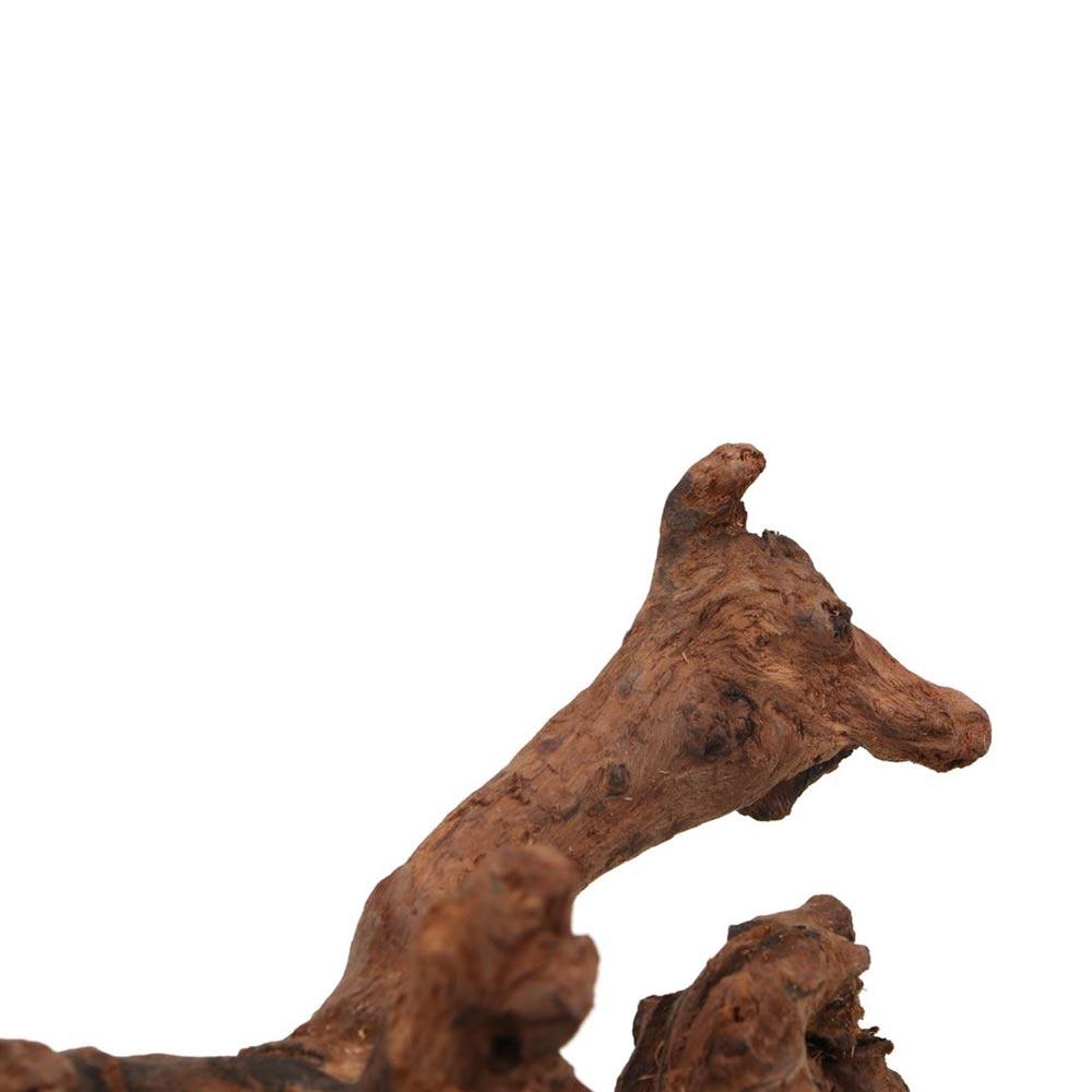 Creative Irregular Shape Coral - Aquarium Plant Root Tabs recension och pris