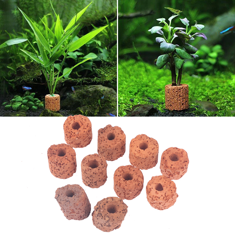 ^10Pcs Plant Ring Aquarium Fix - Planted Aquarium Products recension och pris