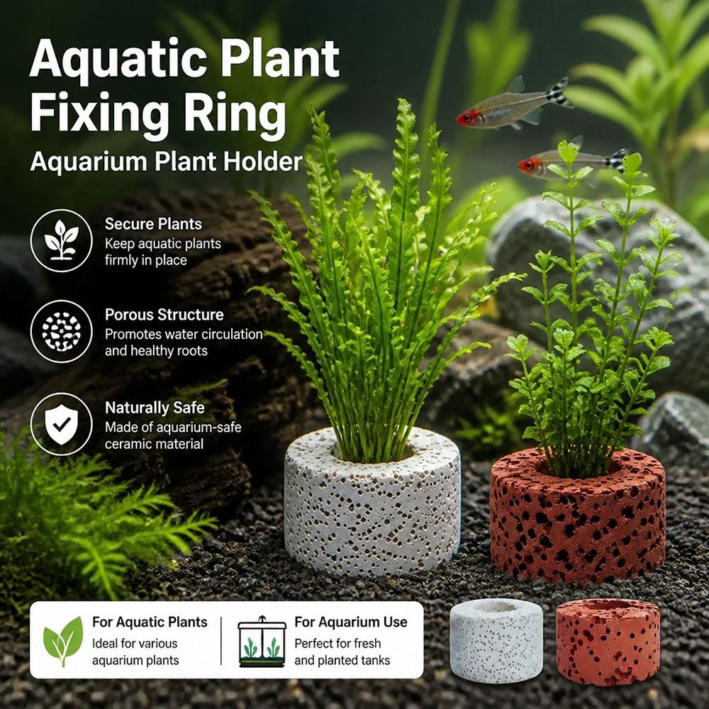 10Pcs Weighted Ring Aquatic Pl - Planted Aquarium Pictures recension och pris