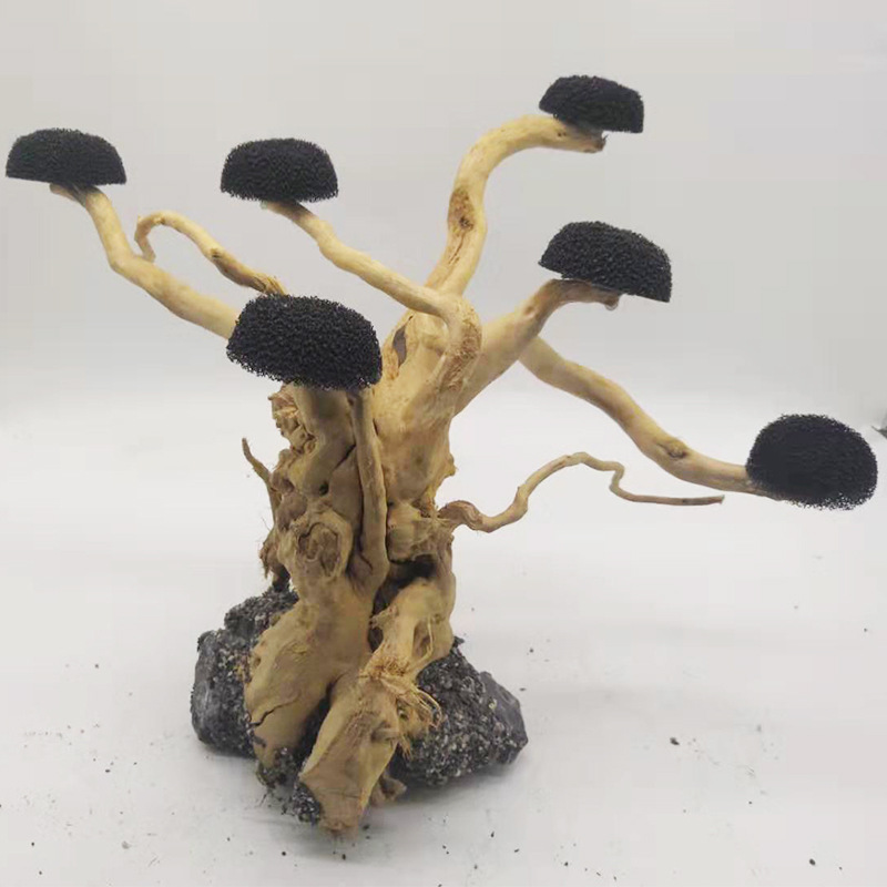 Aquarium Driftwood Landscaping - Aquarium Plant Root Tabs recension och pris