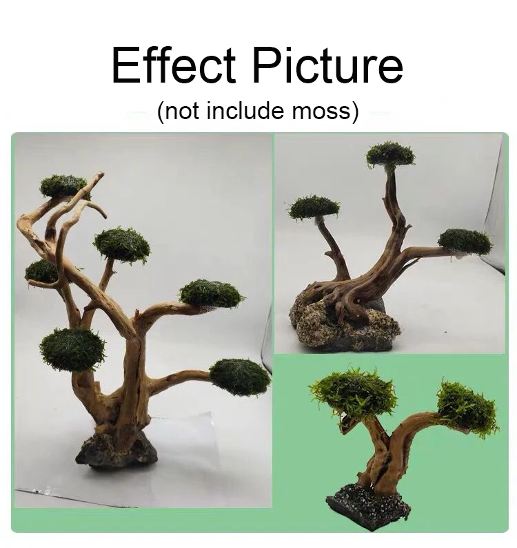 Aquarium Driftwood Landscaping - Aquarium Plant Root Tabs recension och pris
