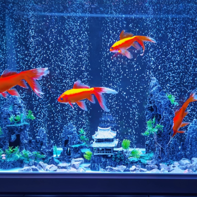 Aquarium Decor Stone Rockery C - Aquarium Plant Root Tabs recension och pris