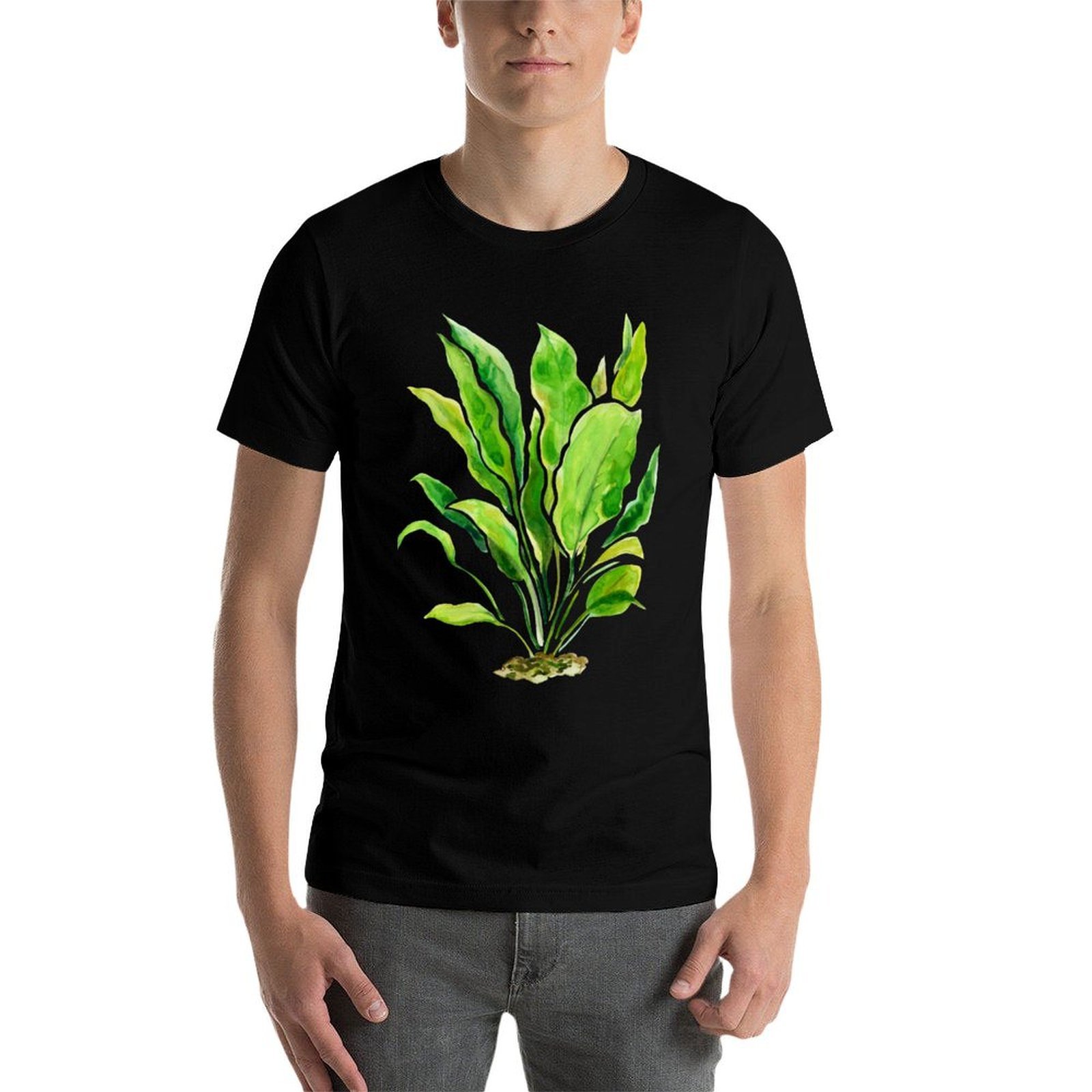 Aquarium Plants Series Amazon  - Planted Aquarium Basics recension och pris