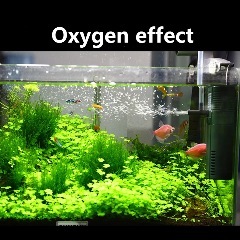 SUNSUN mini nano 111B 311B 611 - Planted Aquarium Products recension och pris