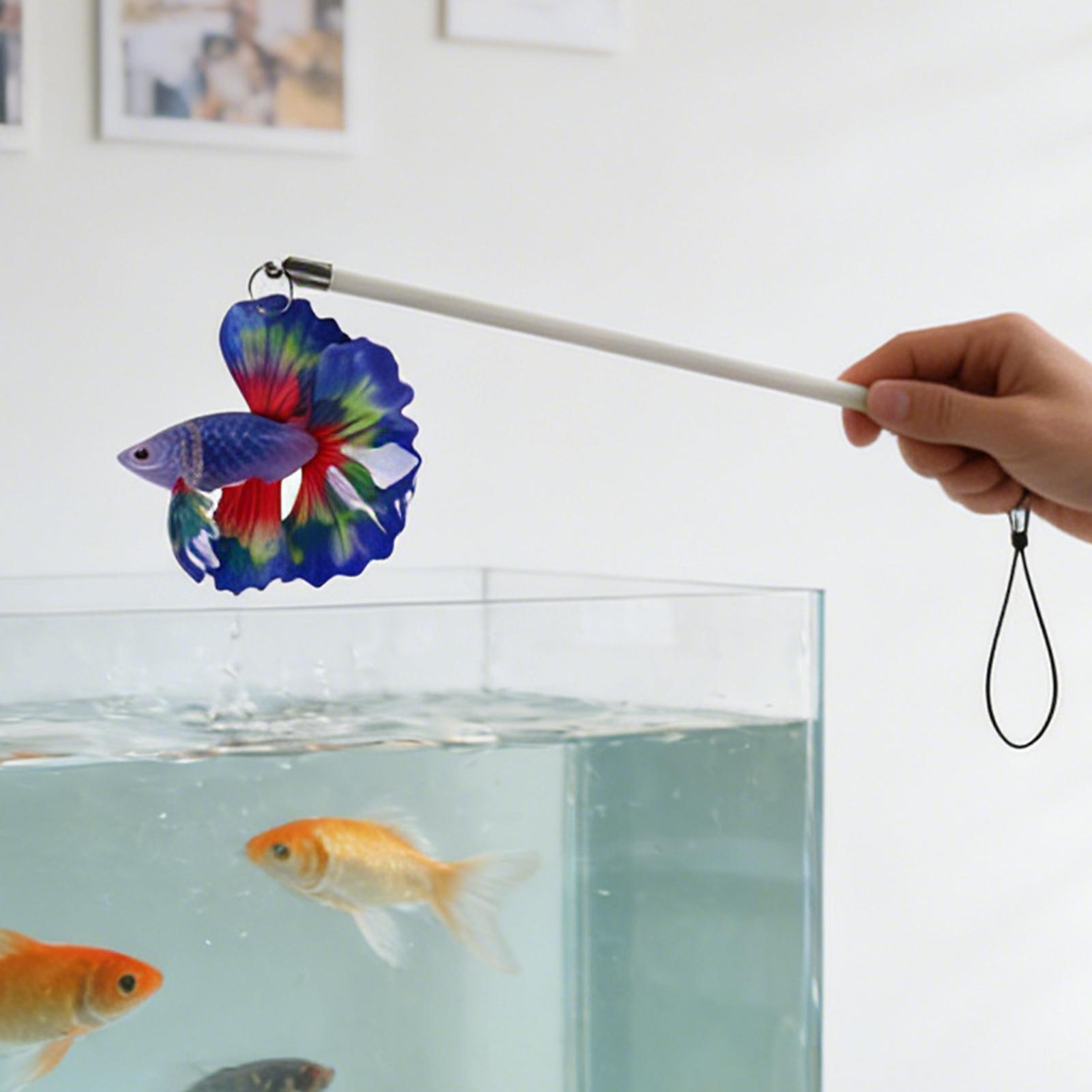 Fish Training Stick Realistic  - Planted Aquarium For Beginners recension och pris